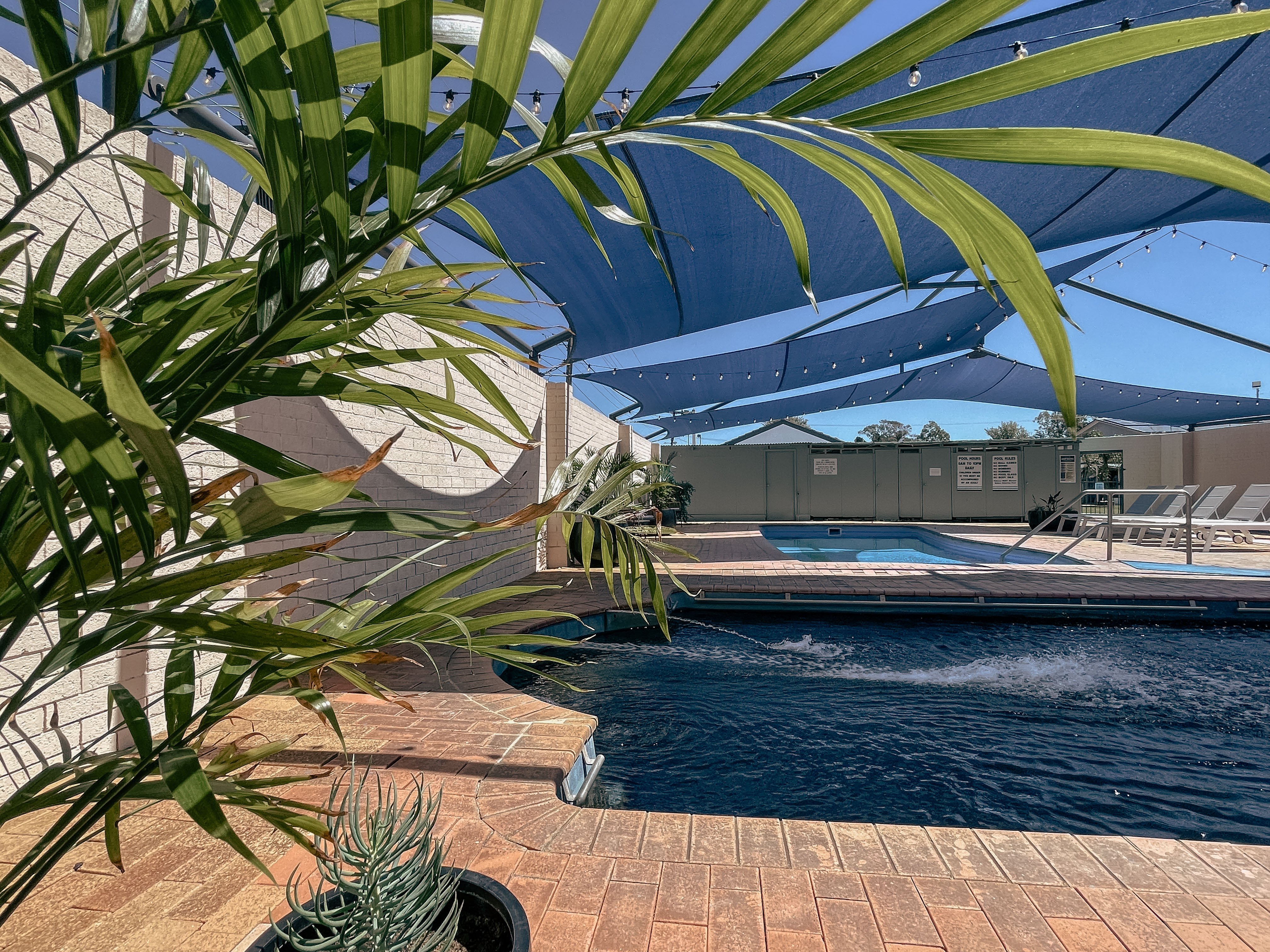 Phoenix Artesian Spa Resort and Accommodation gallery photograph