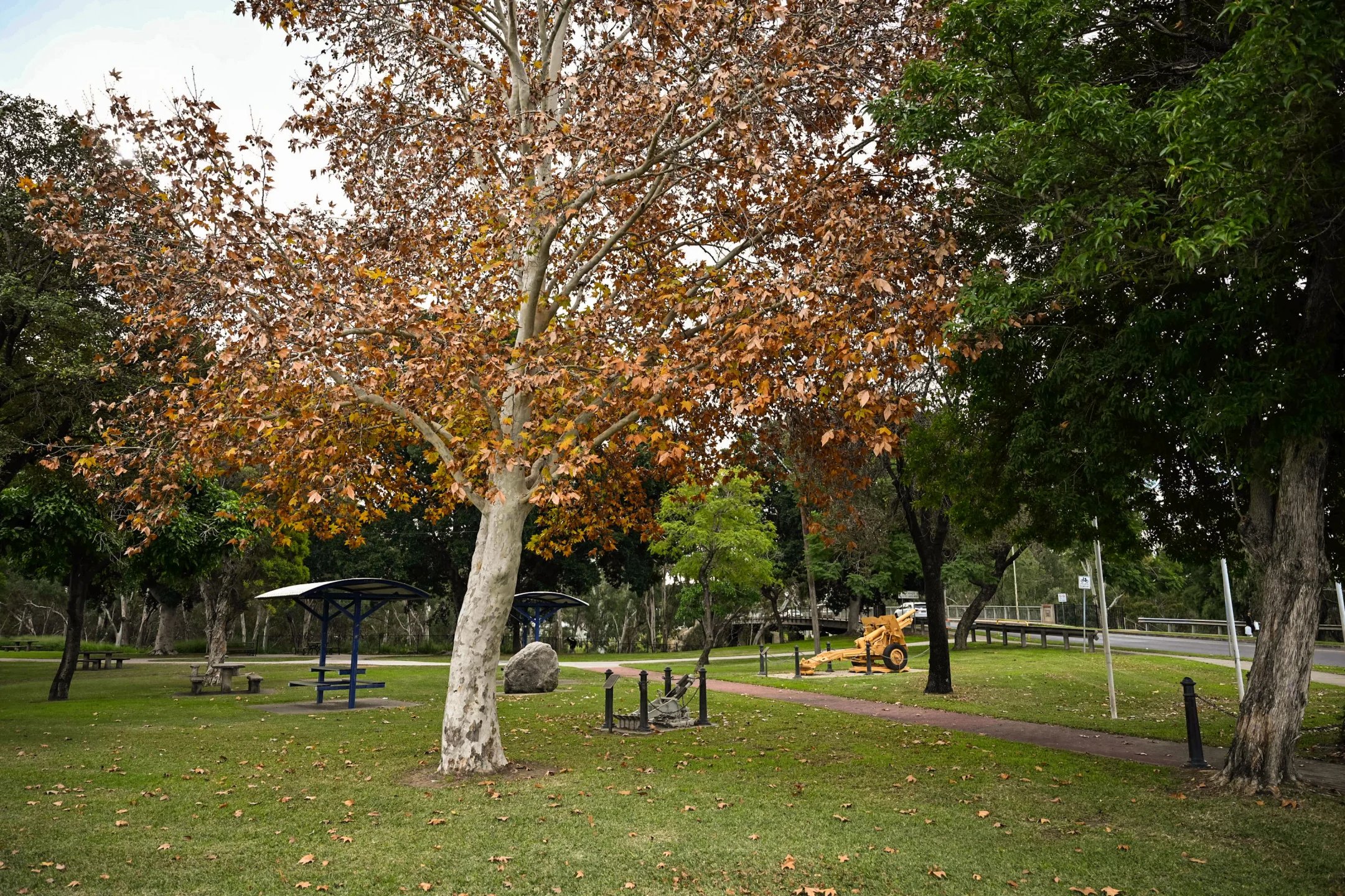 River Walk - Lyle Houlahan Park