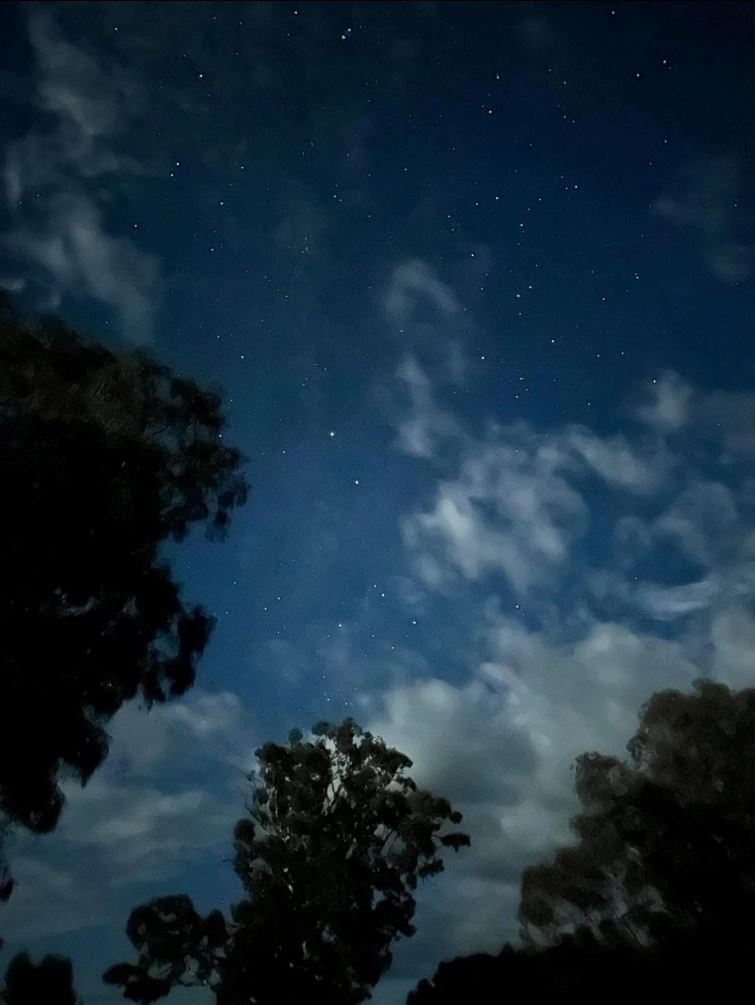 Stargazing gallery photograph