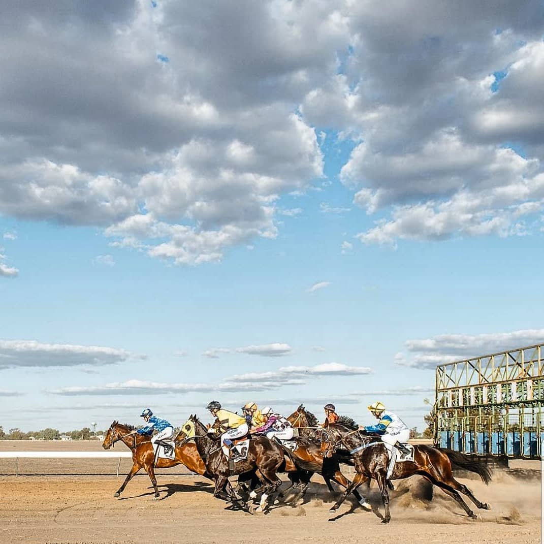 The Golden Triangle - Country Picnic Racing at its Finest