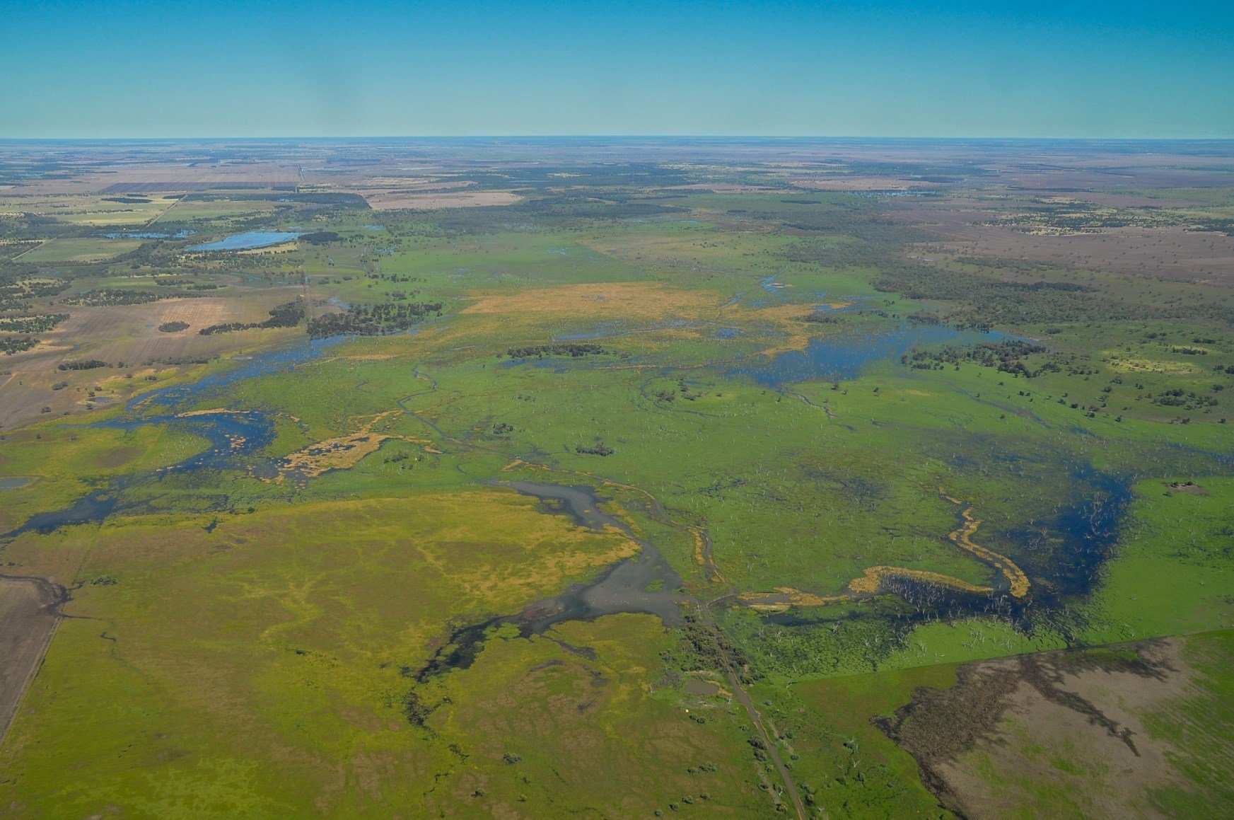 Gwydir Wetlands - Waterbird Lagoon Bird Hide gallery photograph